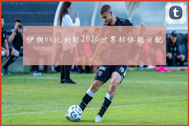 伊朗vs比利时2026世界杯体能分配